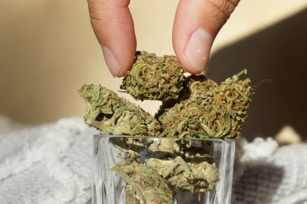 débuter avec le cbd
