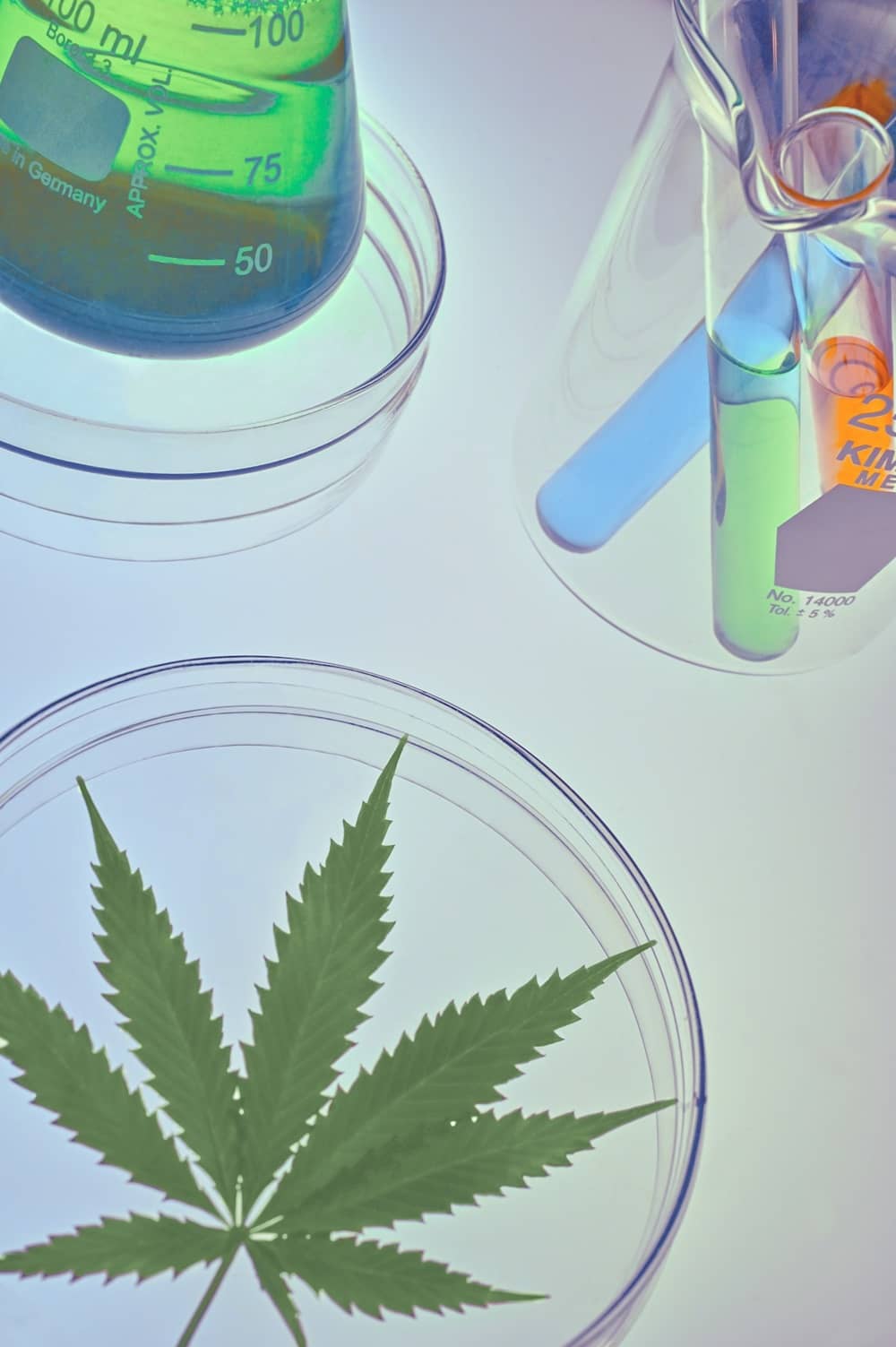 Découvrez 5 Bienfaits du CBD