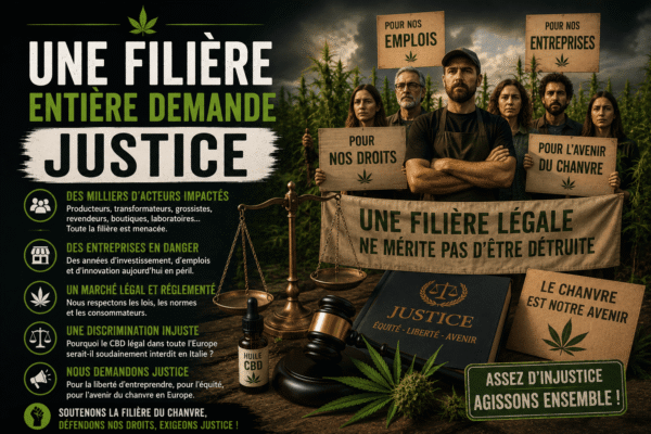 La filière du chanvre demande justice face à l’interdiction du CBD