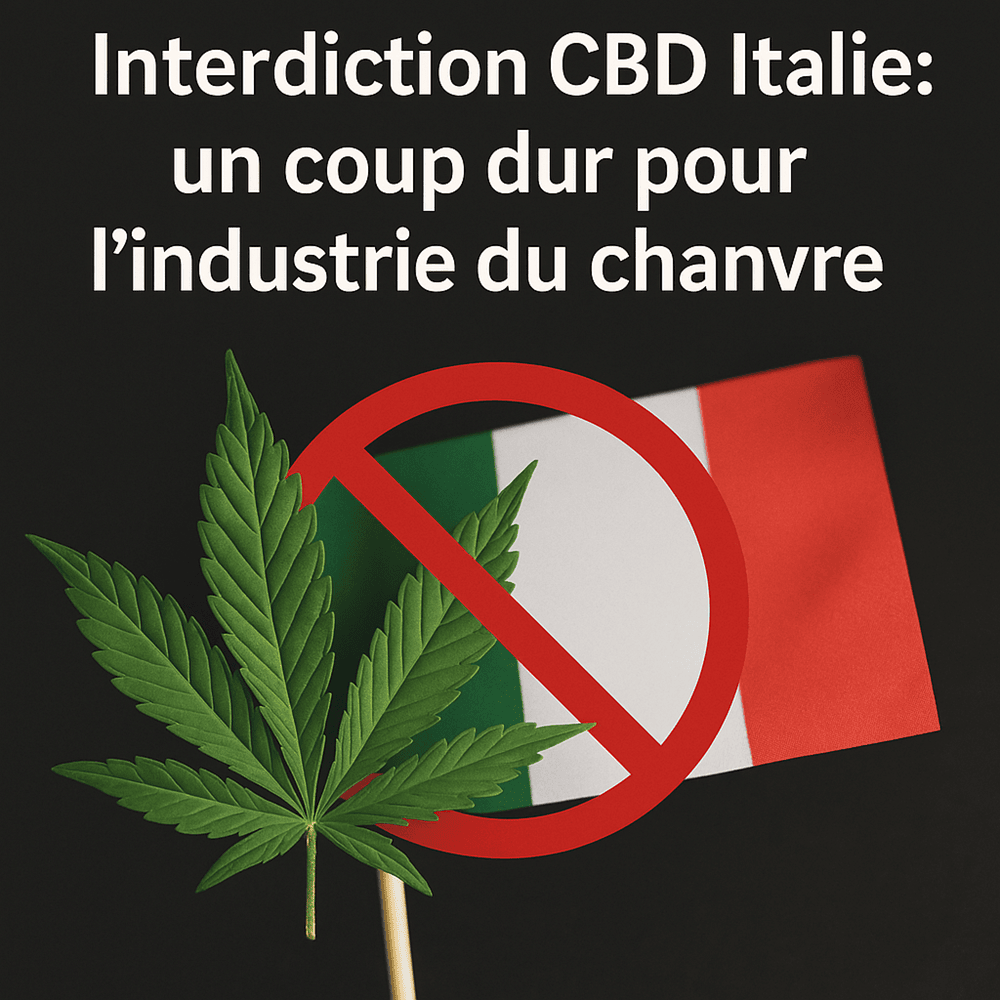 Interdiction CBD Italie : Un coup dur pour l'industrie du chanvre