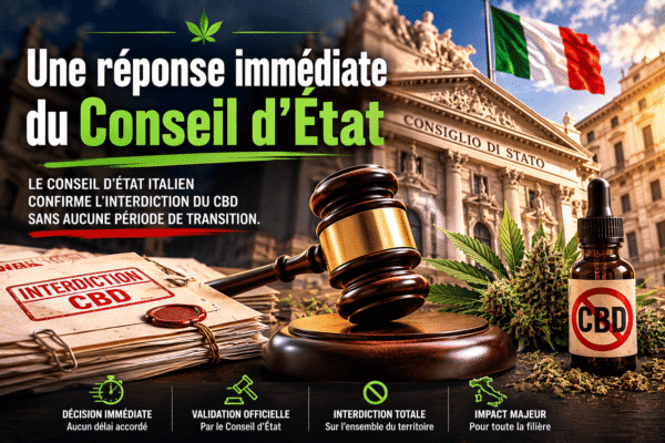 Réponse immédiate du Conseil d’État italien sur le CBD