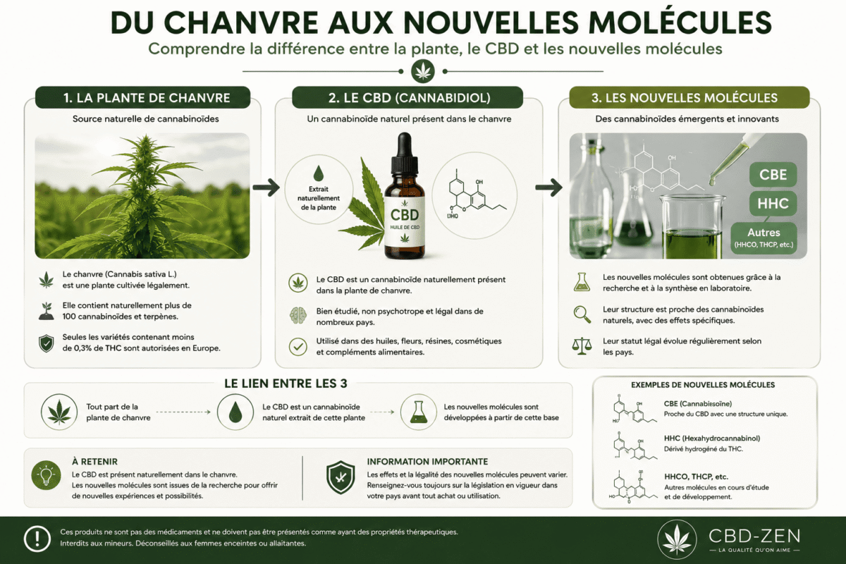 Schéma expliquant la différence entre le chanvre, le CBD et les nouvelles molécules