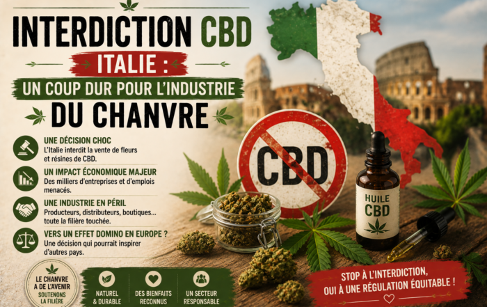 Interdiction CBD en Italie : un coup dur pour l’industrie du chanvre