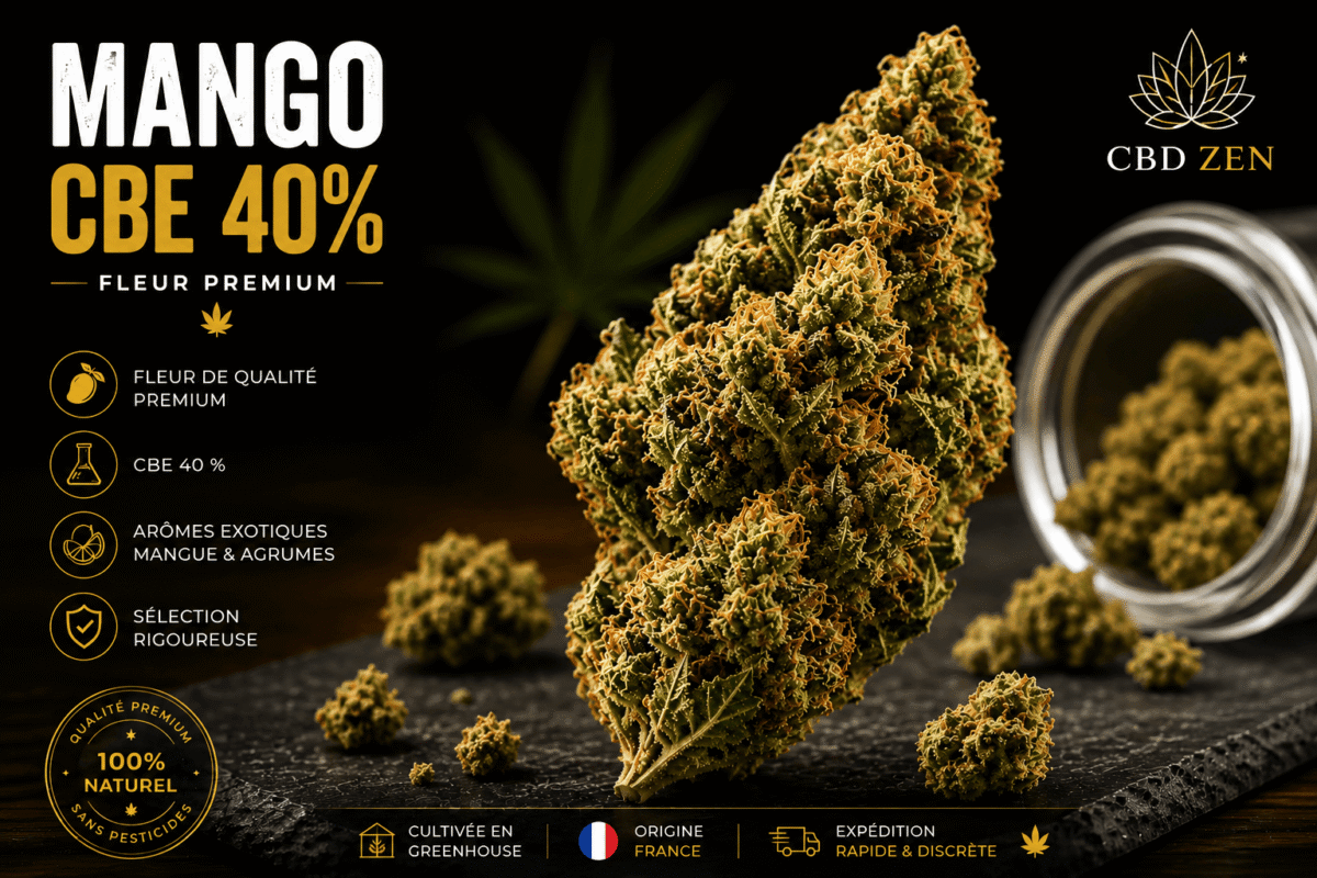 Fleur Mango CBE 40 % CBD-ZEN