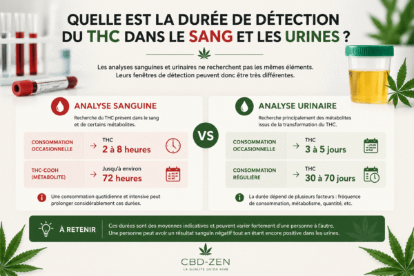 Durée de détection du THC dans le sang et les urines