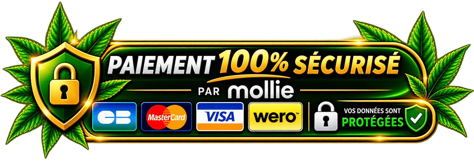Paiements Sécurisés par Mollie