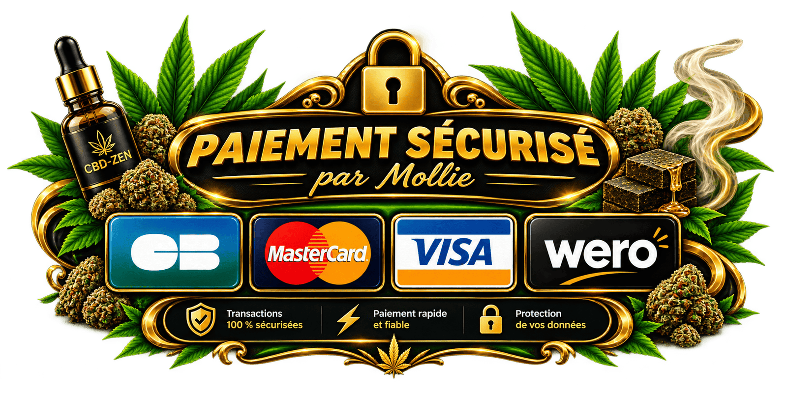 Paiements Sécurisés par Mollie