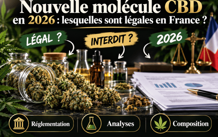 Fleurs de chanvre et documents illustrant la réglementation des nouvelles molécules CBD en France